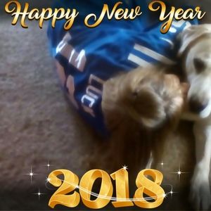 Meet your Posher, Patty